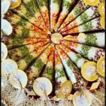 Mr. Mawaa Saunf Cones /Desi Wedding Favours / Shadi, Sangeet, Mehndi, Welcome, Dholki, Wedding Gift and Nikkah Favours/ Fastival/ Treats/ / Fennel cones for Wedding Decorative Items / Indian return gifts/ Traditional Saunf Cones for Wedding Guests – Ideal Desi Return Gift & Favor Pack (30 CONE Pack - Image 2