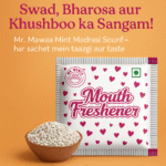 Mr. Mawaa Mint Madrasi Saunf Mukhwas – 150 Sachets | Refreshing Mint Mouth Freshener | Sweet Saunf Digestive | Travel Pack for Restaurant, Hotel, Office, Gifting & Party Use - Image 6
